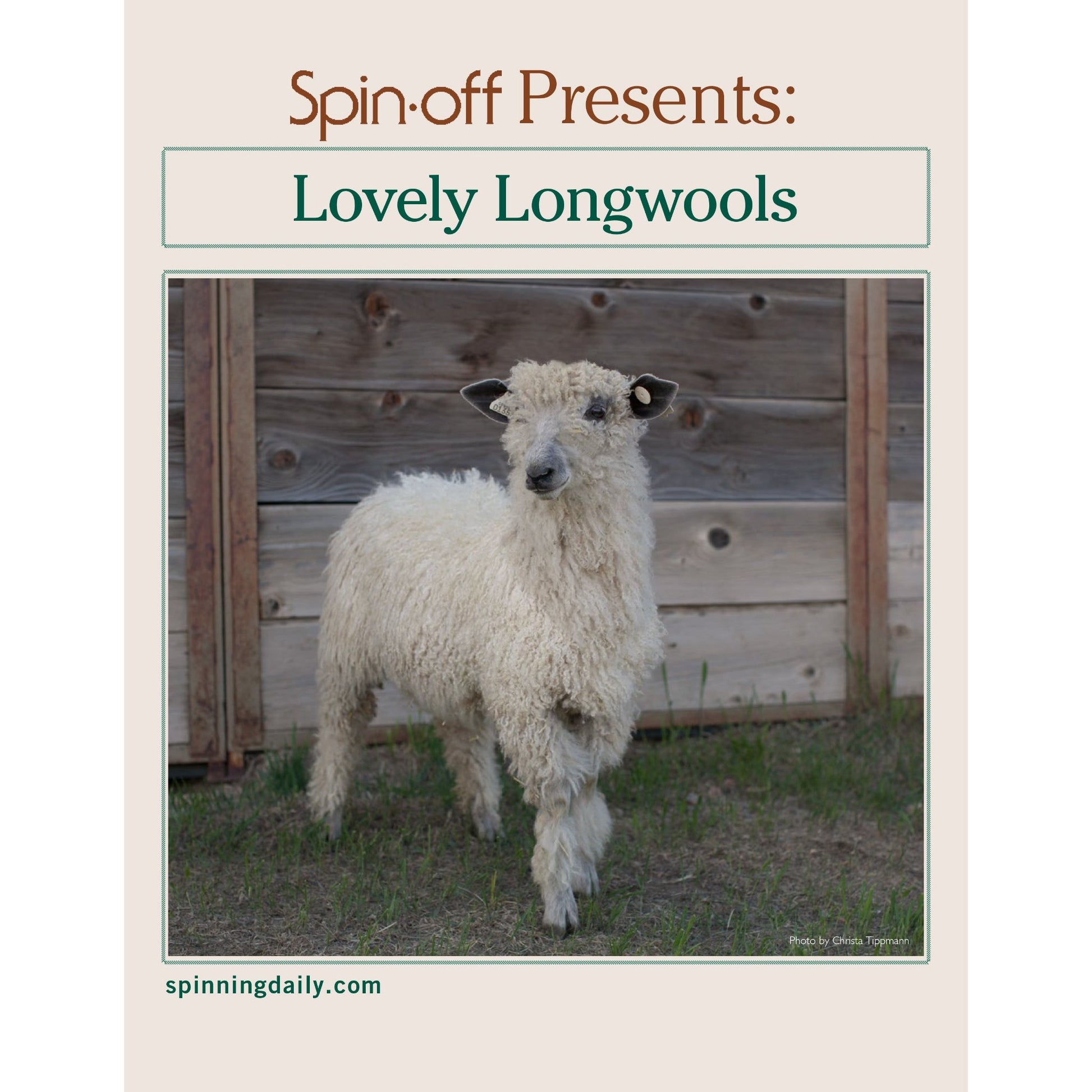 A flyer featuring the heading "Spin Off Presents: Lovely Longwools - eBook Printed Copy" by Long Thread Media, and an image of a Longwool sheep with thick, curly white wool standing in front of a wooden fence. The website "spinningdaily.com" is displayed at the bottom.