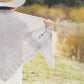 A person with long hair, donning a wide-brimmed hat and a long-sleeved shirt, showcases a luxurious knit shawl from the Plum Dandi Knits collection by Ingram Content in an outdoor setting. The scenery features dry vegetation and softly focused grassy, sunlit fields.