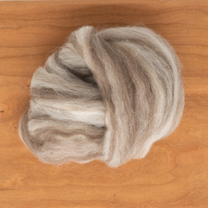 Europa Wools Ltd's Blue Faced Leicester (BFL) Wool Top, featuring soft beige, cream, and gray roving, is coiled on a light wooden surface. These natural fibers from Bluefaced Leicester sheep exhibit a fluffy and smooth texture with a gentle gradient of colors.