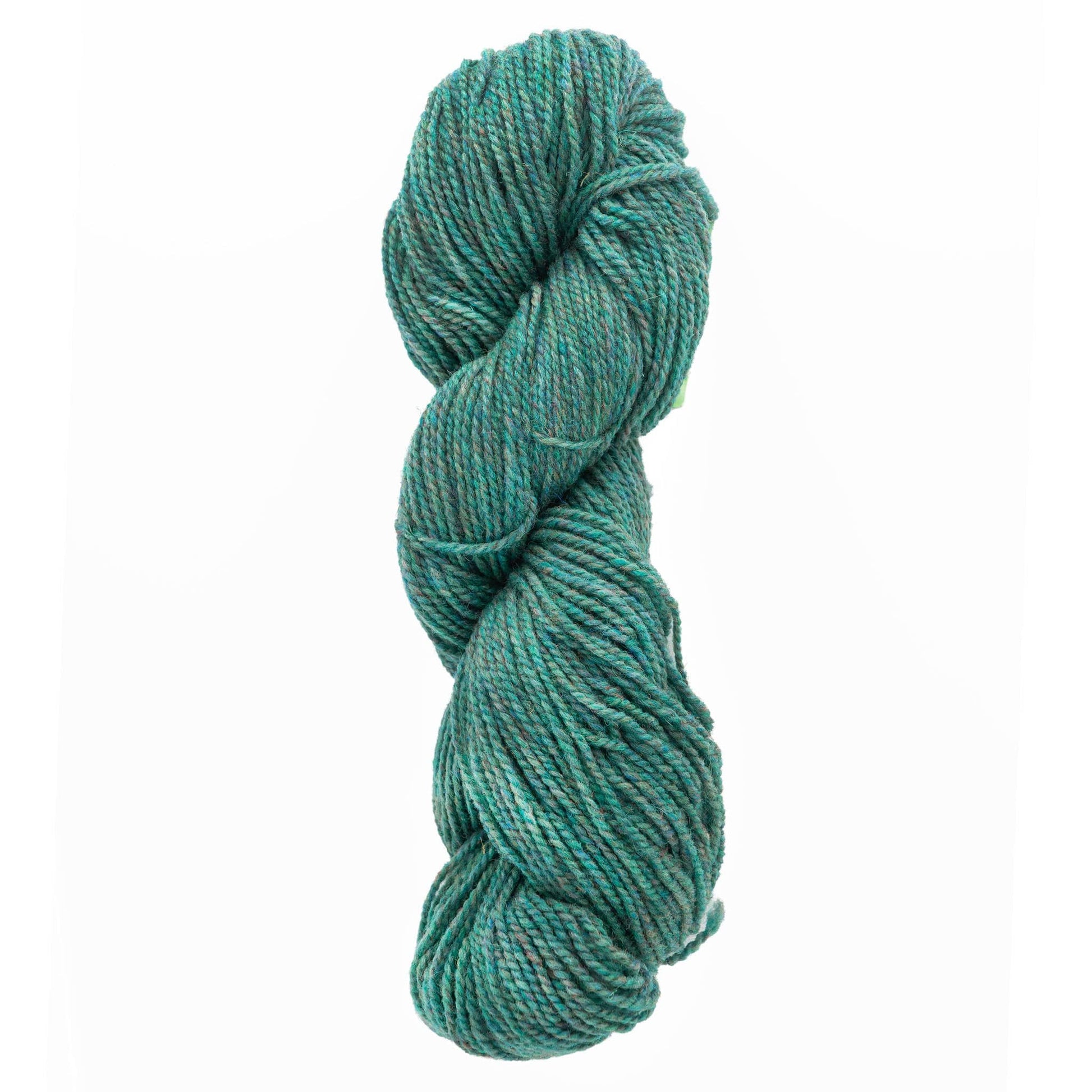 Briggs & Little Yarn Forest Tuffy Canadian Sock Yarn