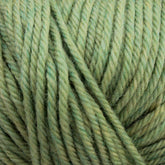 Cascade Yarns Yarn Celery Cascade 220 Superwash Wool Yarn