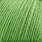 Cascade Yarns Yarn Green Apple Cascade 220 Superwash Wool Yarn