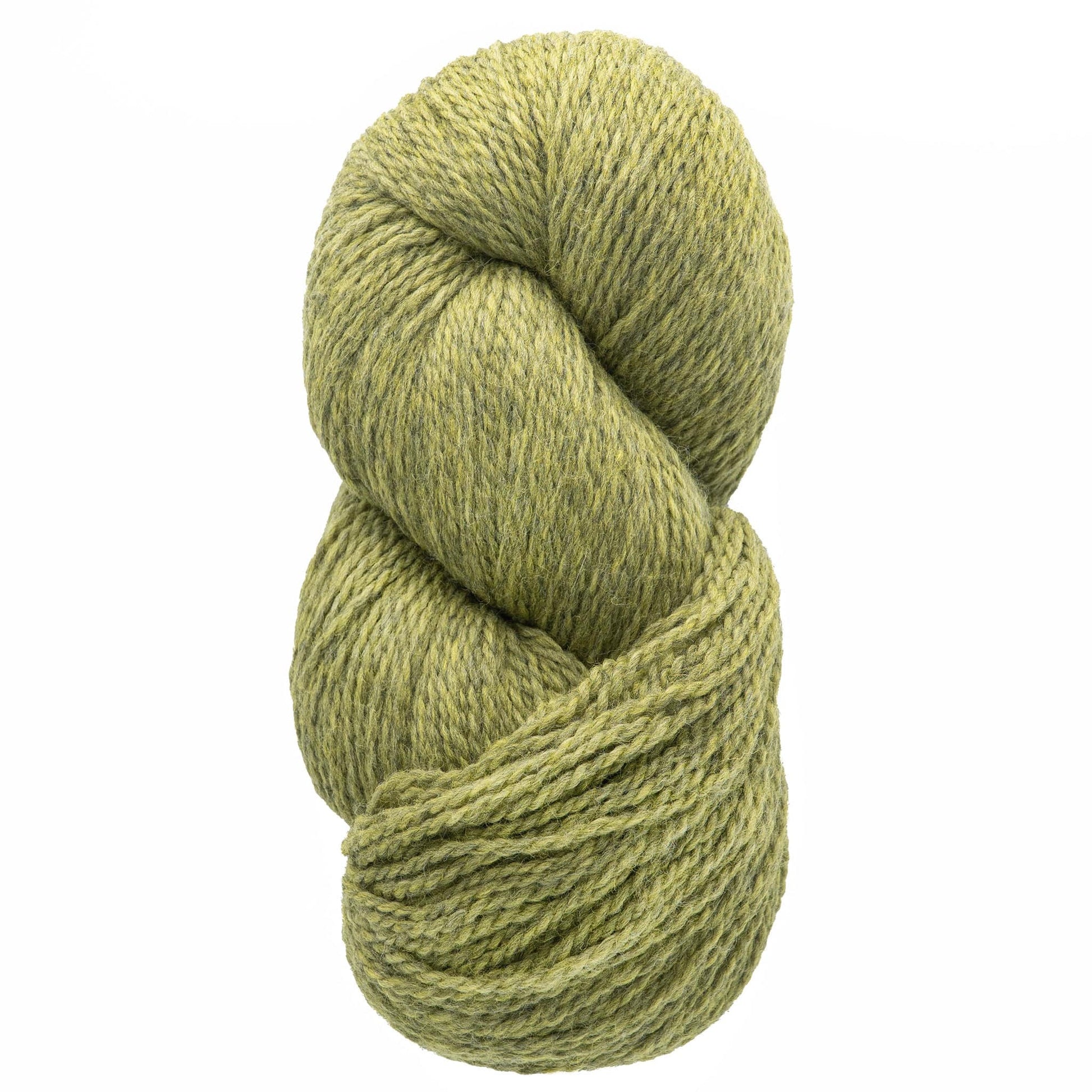 Cascade Yarns Yarn Turtle Cascade Eco and Cascade Eco Plus Wool Yarn