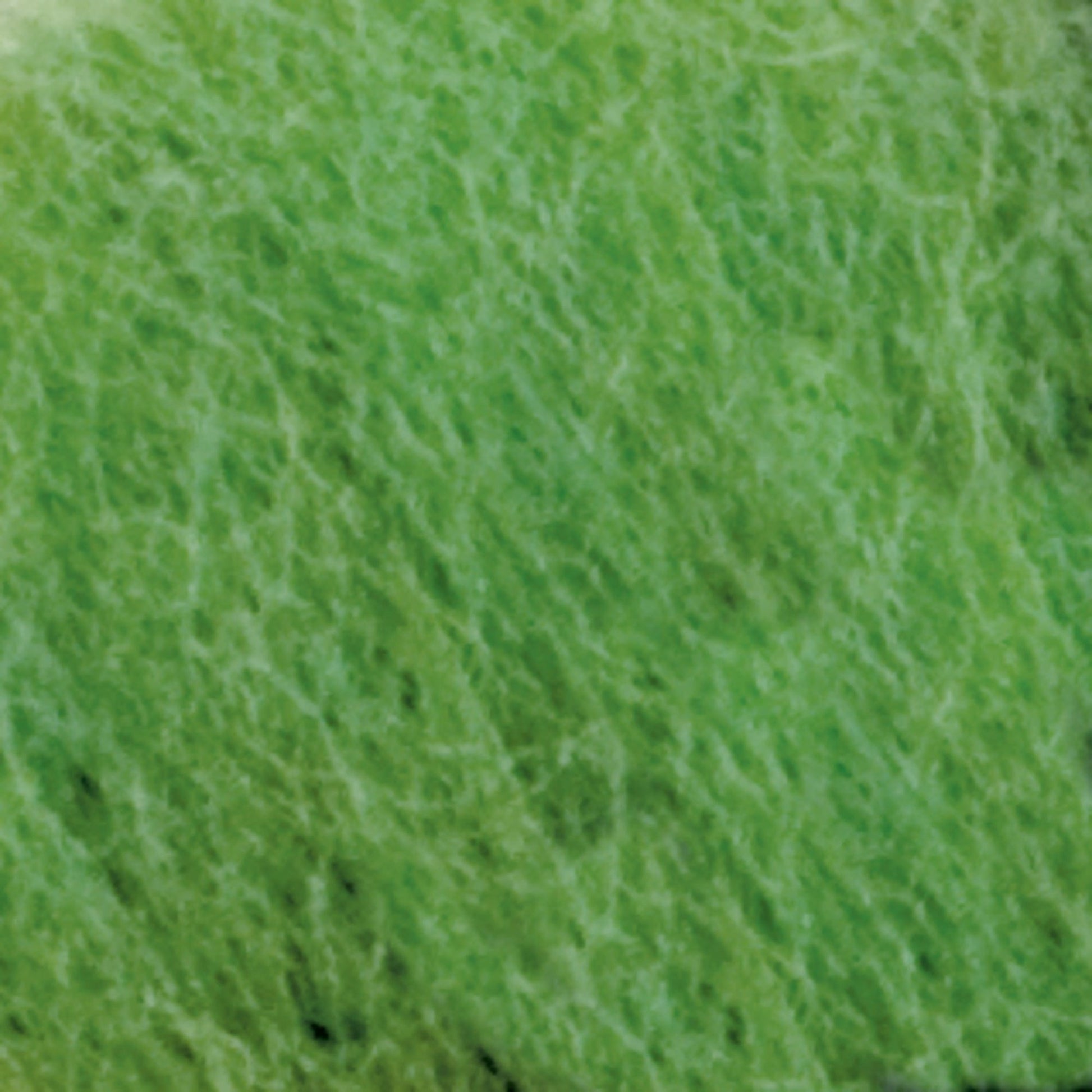 Europa Wools Ltd Dyed Wool Fiber Grass Green Merino Top Dyed Wool Fiber (sold by the ounce)