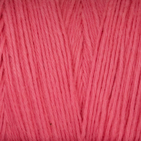 Great Northern Weaving Yarn Old Rose Cotton Carpet Warp 8/4