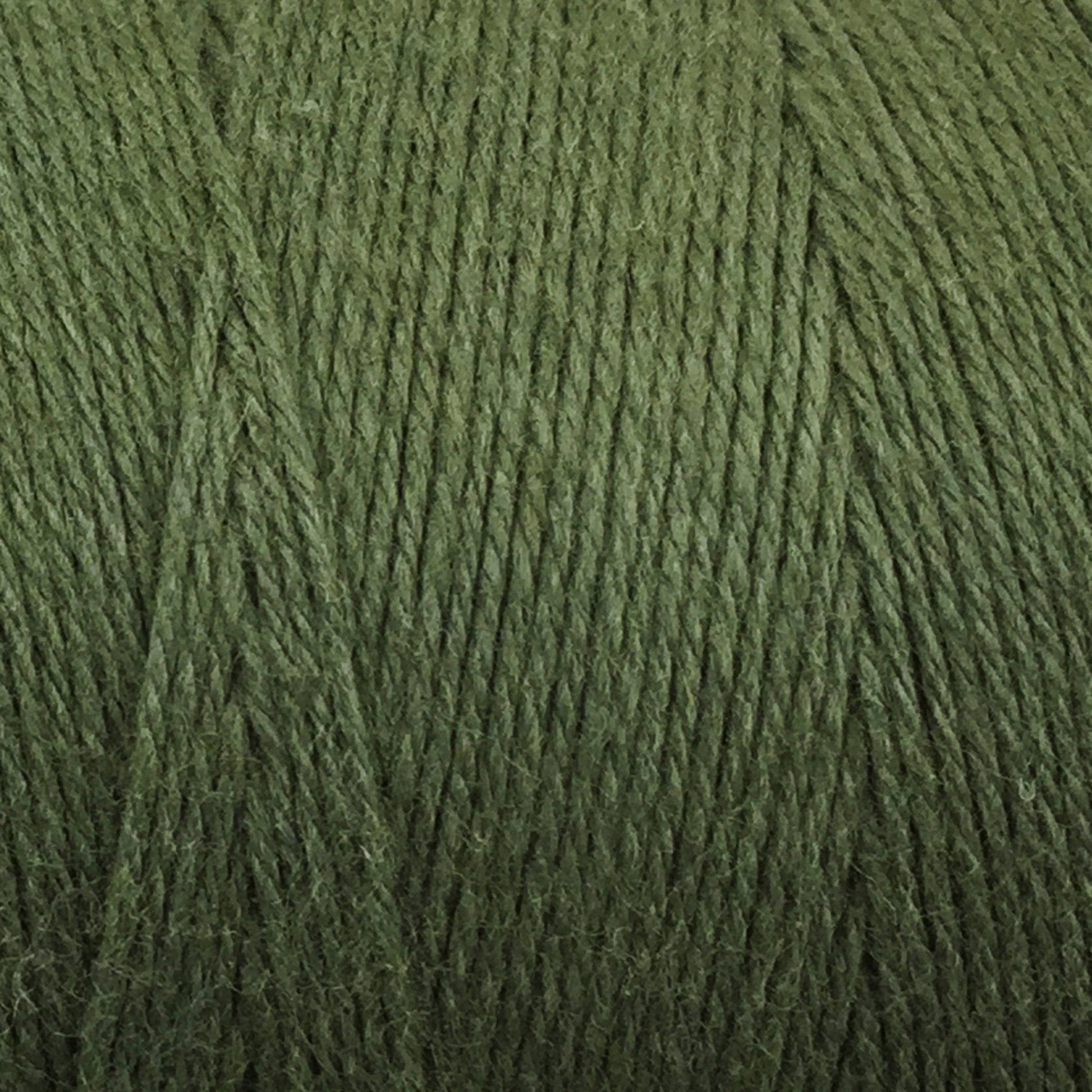 Close-up of Cotton Carpet Warp 8/4, a green thread perfect for rag rugs. Tightly wound and colorfast, its textured surface offers subtle shading variations for depth. The fibrous detail is emphasized.