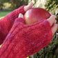 Halcyon Yarn Print Patterns Endless Ruby Mitts