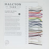 Halcyon Yarn Yarn Sample Cards Jo Sharp Classic DK Wool Yarn Sample Card