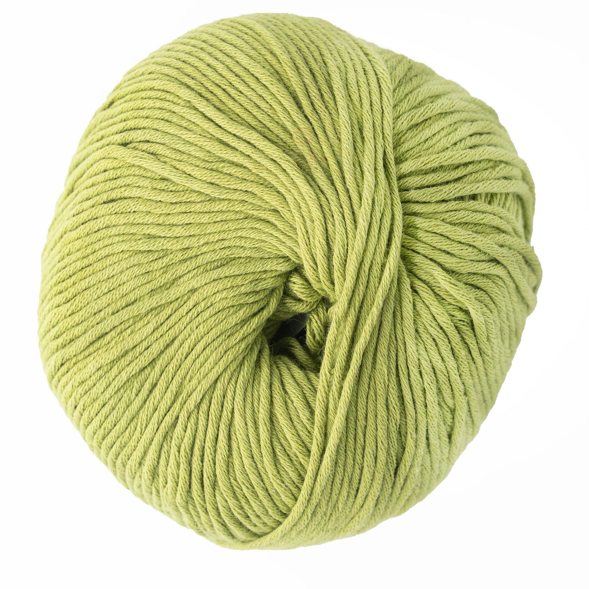 Kingfisher Yarn & Fibre Yarn Cactus Jo Sharp Soho Summer DK Cotton