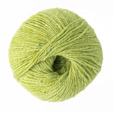 Kingfisher Yarn & Fibre Yarn Lime Jo Sharp Silkroad DK Tweed