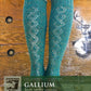 Knitting Fever / Euro Yarns Print Patterns Herriot Fine Gallium Knee Socks