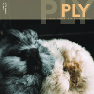 PLY Magazine Magazines PLY - The Magazine for Handspinners, Issue 28, Spring 2020: Fur