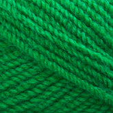 Plymouth Yarn Co. Yarn Christmas Green Plymouth Encore Worsted Yarn