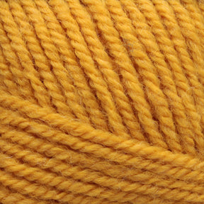 Plymouth Yarn Co. Yarn Golden Glow Plymouth Encore Worsted Yarn