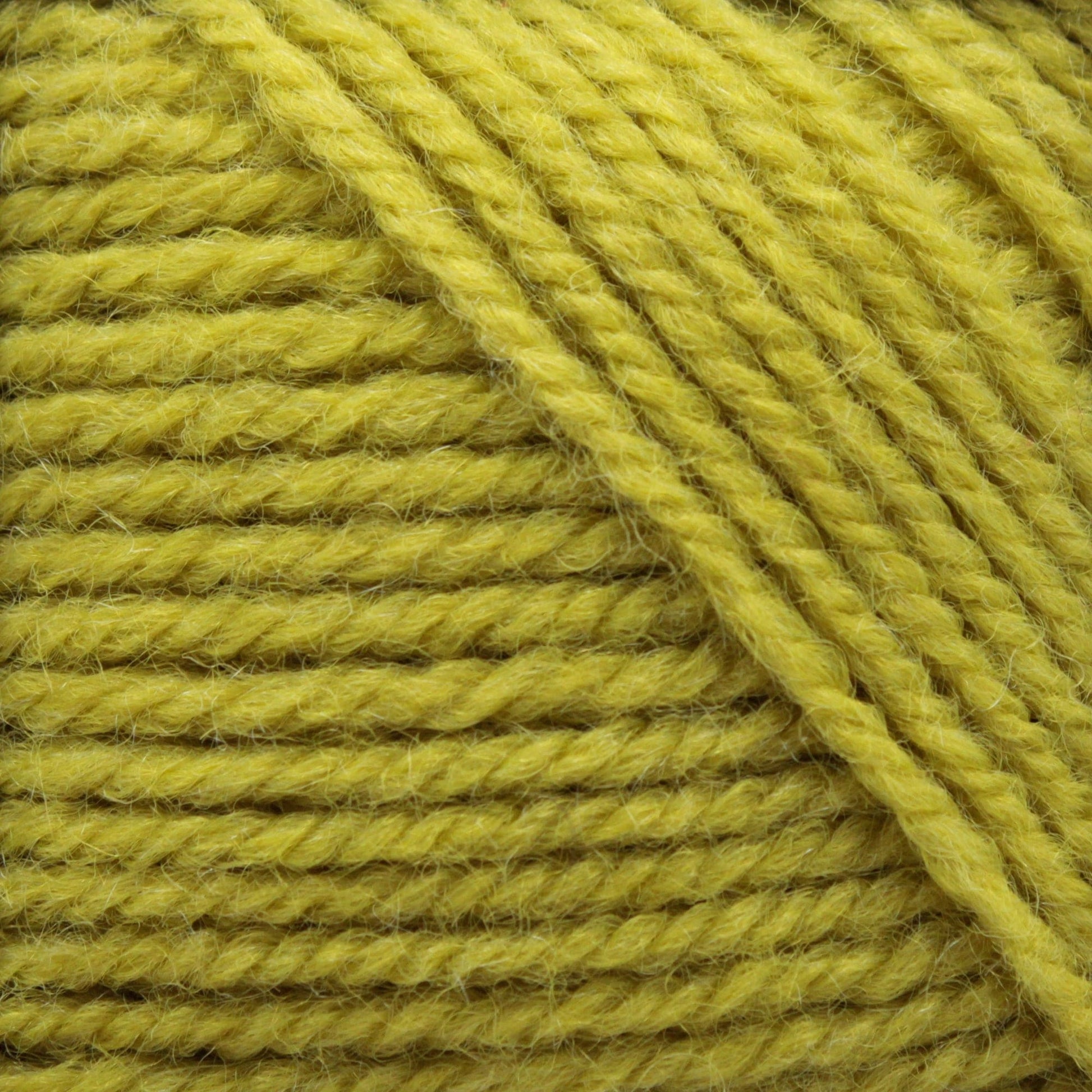 Plymouth Yarn Co. Yarn Sour Apple Plymouth Encore Worsted Yarn