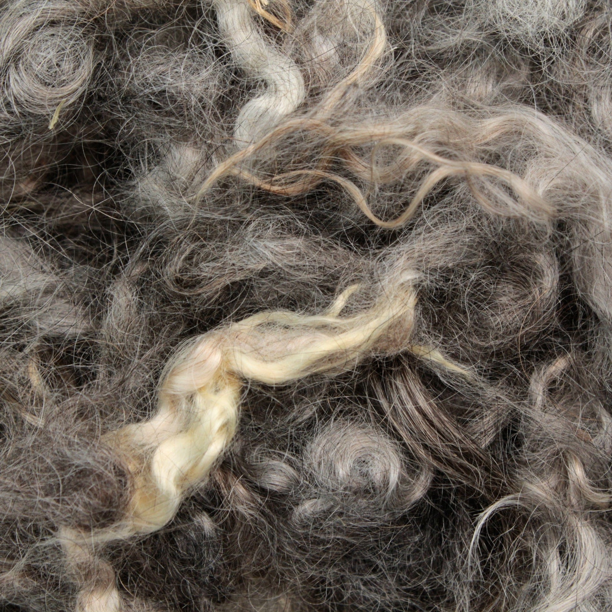 Prairie Lake Farm Other Animal Fibers Ileene Kid Mohair Locks & Loose Fiber