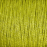 Supreme Corp. Yarn Pistachio 10/2 Pearl Cotton Yarn | Large Cone