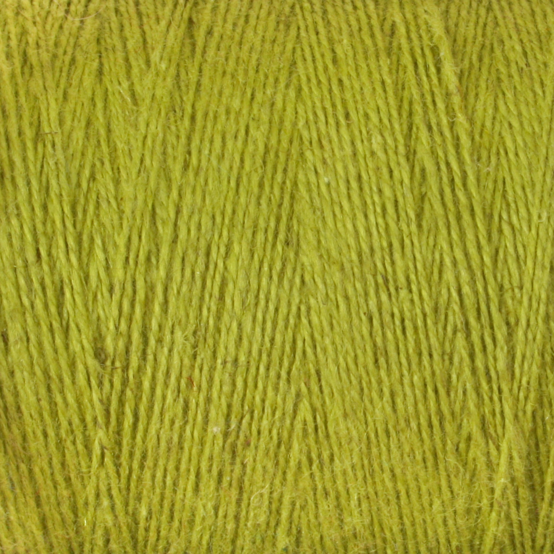 Close-up view of a spool of Maurice Brassard 8/2 Cottolin Organic Yarn in vivid earthy green, perfect for your Cottolin Tea Towel Kit. The tightly wound strands highlight their texture and consistency, with slight variations and soft fibers visible—ideal for your four-shaft loom project.