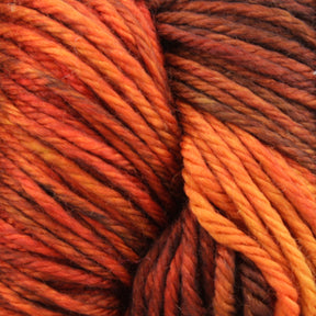 Close-up of a bundle of Malabrigo Yarn's Rios yarn with an array of vibrant colors, primarily in shades of orange, brown, and yellow, creating a warm, autumnal palette. The superwash yarn strands are tightly wound together, showcasing the texture and richness of the fibers.