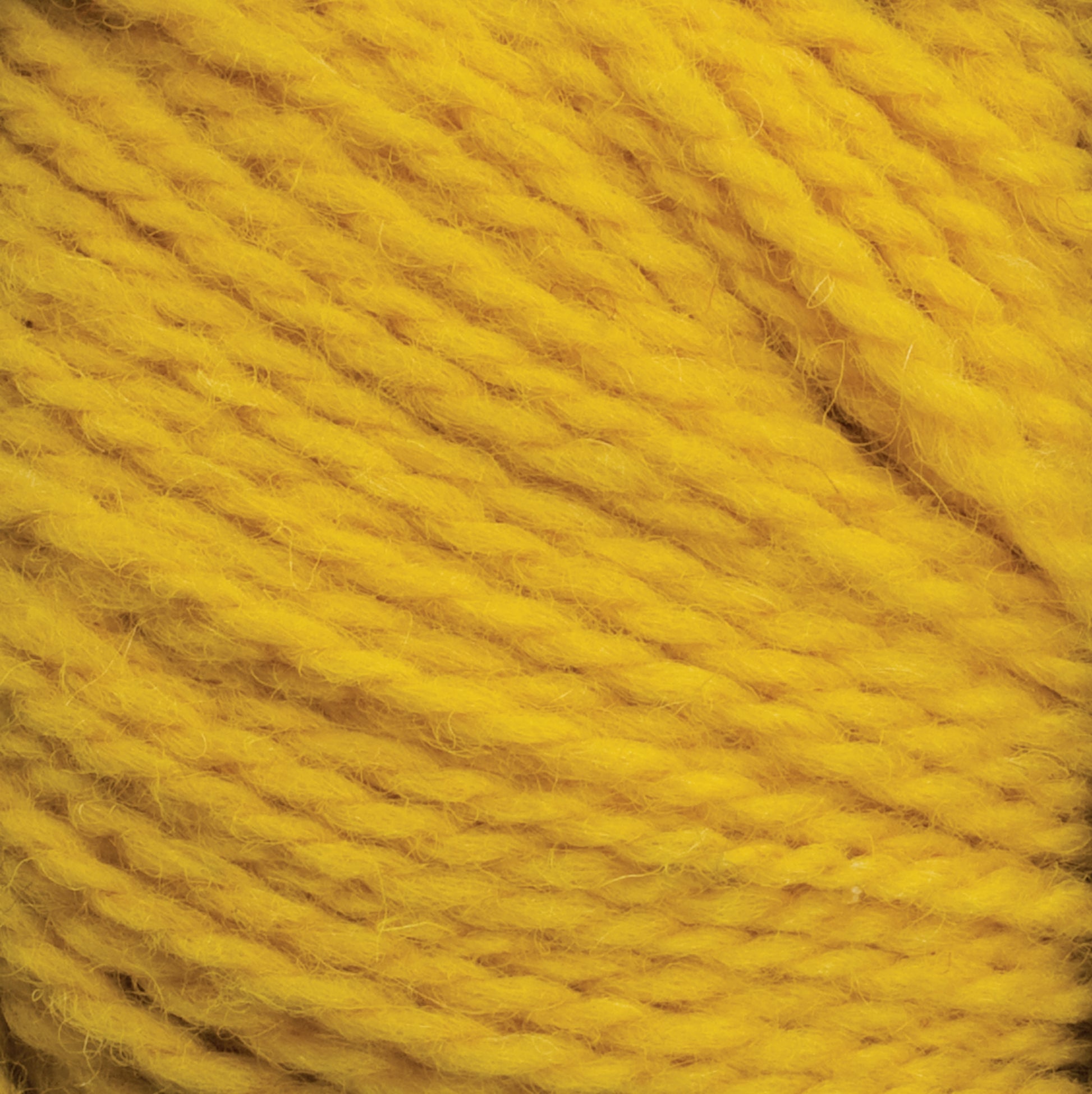 A close-up image of vibrant yellow Harrisville Shetland Yarn - Unwashed Cones from Harrisville Designs, highlighting its twisted fibers and soft texture. The strands are thick and tightly wound together, creating a cozy and inviting appearance perfect for Fair Isle knitting designs or lightweight blankets.