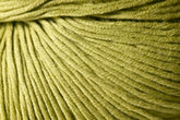 A close-up image of Kingfisher Yarn & Fibre's Jo Sharp Soho Summer DK Cotton, showcasing the texture of its twisted strands. The yarn appears soft and of medium thickness, with a slight sheen on the surface. The light lime green shade is perfect for summer yarn projects.