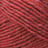 Close-up of Brown Sheep's Lamb's Pride Worsted Yarn in red, featuring a soft, slightly fuzzy texture. The twisted fibers display a blend of bright red and subtle, lighter red strands, creating a rich, textured pattern ideal for felting projects.