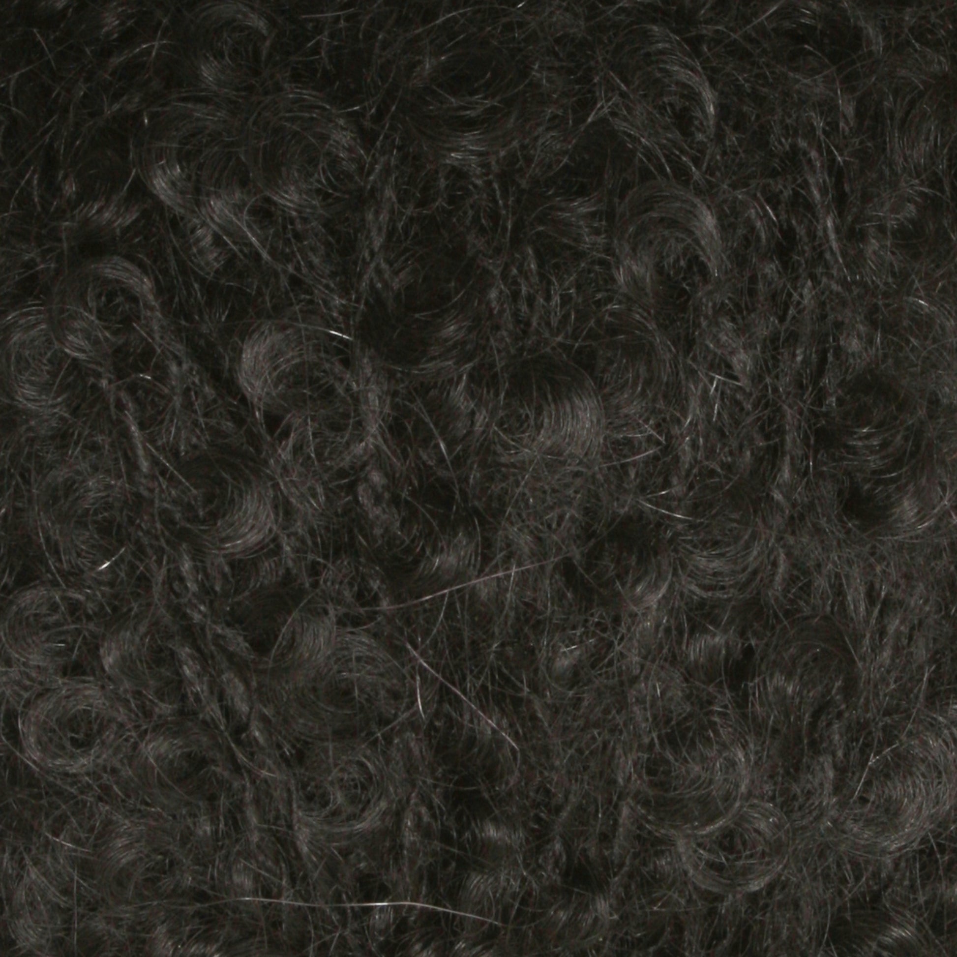 Close-up view of dark, tightly coiled curly hair. The image focuses on the texture and pattern of the curls, reminiscent of a Victorian Bouclé Mohair Yarn from Caledonian Dye Works' Signature Victorian Collection.