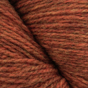 Close-up image of a skein of Patagonia Organic Merino by Juniper Moon Farm yarn in various shades of burnt orange, ranging from deep rust to lighter orange-brown hues. The yarn appears soft and slightly fuzzy, with visible strands twisted together. This GOTS certified fiber from Knitting Fever / Euro Yarns ensures eco-friendly quality and sustainability.