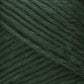 Close-up image of Brown Sheep's Lamb's Pride Bulky Yarn in a deep, rich dark green hue. The tightly wound fibers form diagonal layers, with a soft and slightly fuzzy texture that hints at its wool composition—ideal for knitters and crocheters. This yarn evokes the cozy and warm feel reminiscent of Icelandic sweaters.