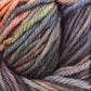 A close-up of a skein of multicolored Malabrigo Rios yarn by Malabrigo Yarn, showcasing a blend of kettle-dyed colors including orange, yellow, green, blue, and purple. The superwash yarn's texture appears soft and slightly fuzzy, with individual strands twisted together.