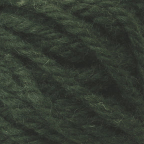 A close-up view of dark green Halcyon Yarn Classic Rug Wool | Skein by Caledonian Dye Works, showing its thick strands and slightly fuzzy texture. The yarn, possibly hand-dyed, appears tightly wound and has a moss-like hue, suggesting a soft and cozy material ideal for knitting or crocheting projects.