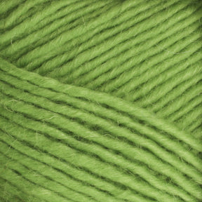 Close-up of the Brown Sheep Lamb's Pride Worsted Yarn in green, highlighting its soft, thick, and slightly fuzzy texture. The yarn is tightly wound, with visible individual fibers that overlap slightly, creating a cozy and inviting appearance ideal for felting projects.