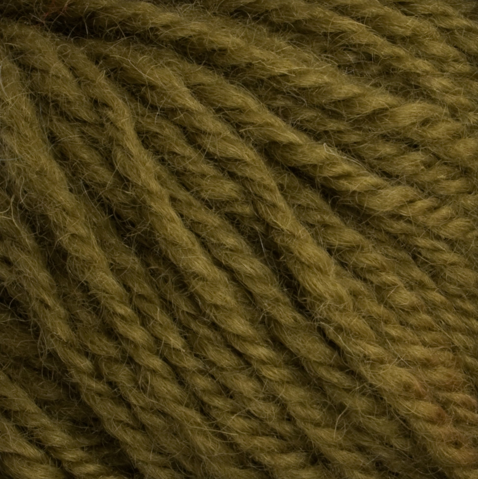 Close-up image of thick, olive green Halcyon Deco Rug Wool by Caledonian Dye Works. The strands of this 100% wool yarn are tightly twisted and have a slightly fuzzy texture. The rich color and detailed texture are clearly visible, showcasing the softness and quality of this versatile material.