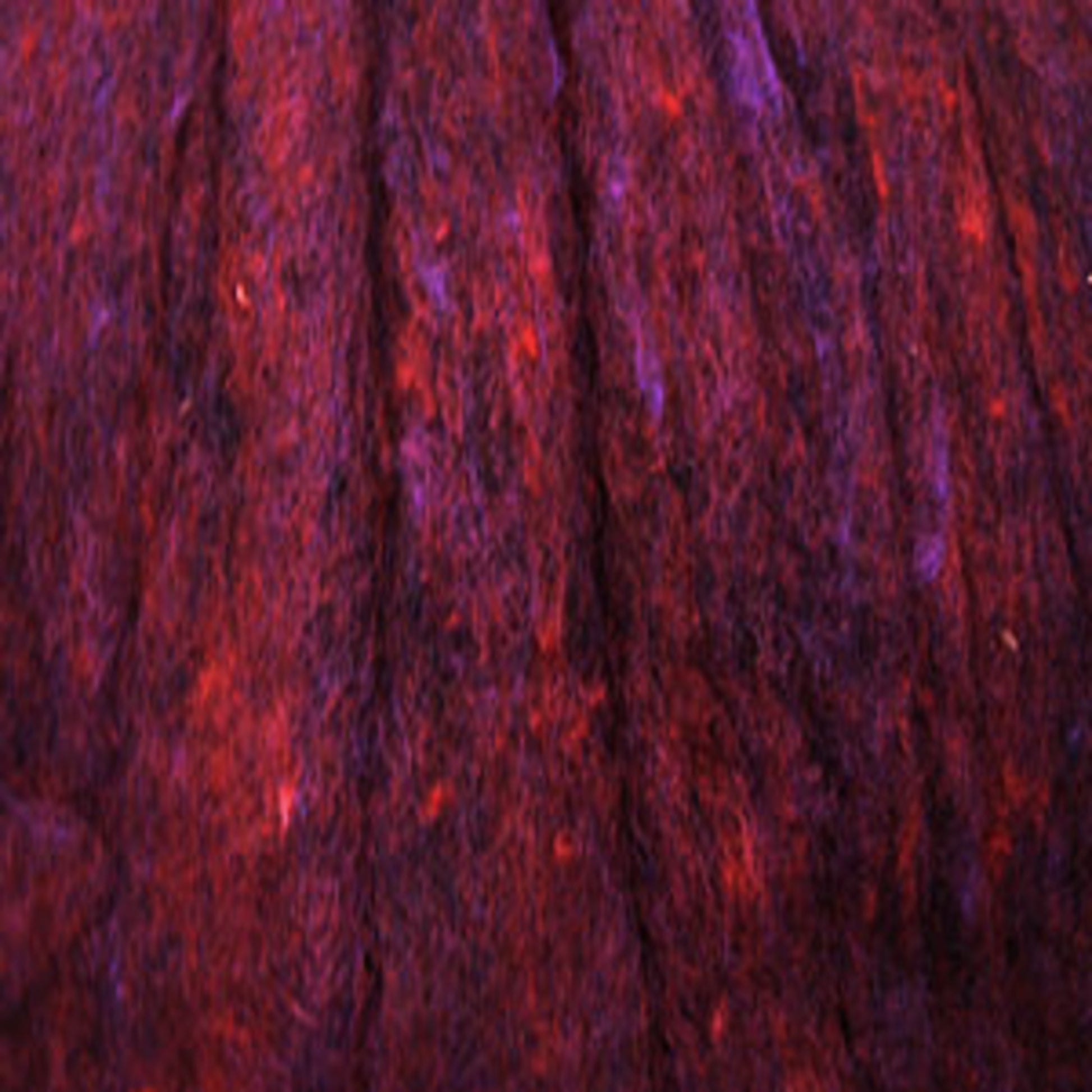 Close-up of the Harrisville Dyed & Carded Wool Fiber in a deep red and purple mix. The surface appears soft with irregular streaks of heathered colors blending throughout, giving it a rich and vibrant, yet somewhat abstract appearance. Perfect for those interested in Harrisville Designs projects.