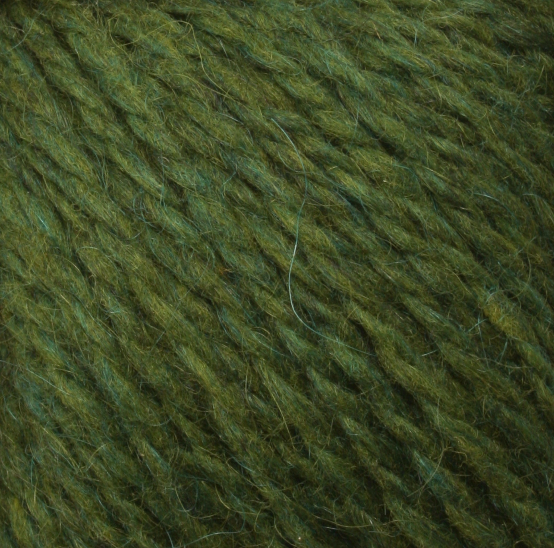 Close-up of green Peace Fleece Yarn by Harrisville Designs. The thick strands vary slightly in shade from light to dark green, creating a textured and slightly fuzzy appearance. This worsted weight yarn combines wool and mohair for a soft feel, making it perfect for knitting or crocheting projects.