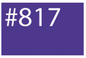 A print showcasing the product "WashFast Acid Dyes" by G & K Craft, featuring a purple rectangular design with bright white text "#817" in a bold, sans-serif font.