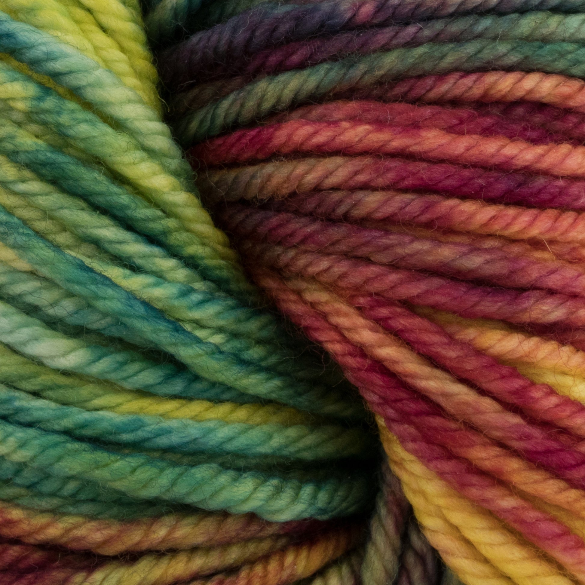 Close-up image of multicolored Malabrigo Rios yarn in a thick, twisted strand. The superwash yarn from Malabrigo Yarn showcases a gradient of vibrant, kettle-dyed colors, including green, yellow, blue, purple, pink, and red. These hues blend smoothly into each other to create a visually engaging and colorful texture.