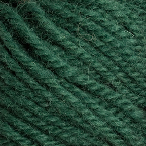 A close-up view of Caledonian Dye Works' Halcyon Deco Rug Wool in dark green, showcasing its texture and tightly twisted ply. The 100% wool yarn fibers appear soft and fuzzy.