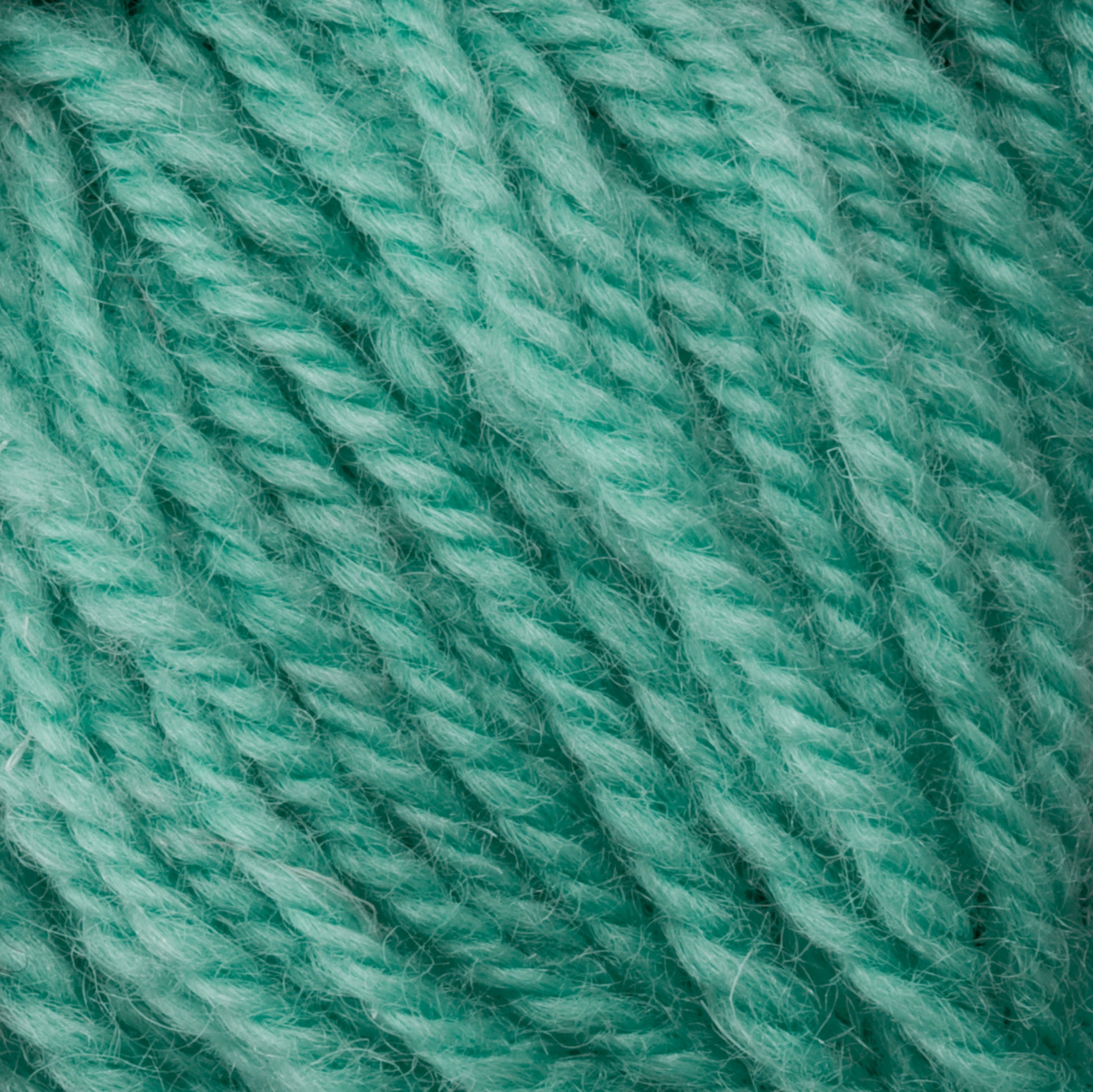 Close-up image of teal-colored Halcyon Deco Rug Wool yarn strands tightly twisted together, showcasing their soft and fluffy texture. Made from 100% wool, the yarn from Caledonian Dye Works has a slightly fuzzy appearance with well-defined fibers and a consistent twist pattern, making it a versatile choice for various projects.