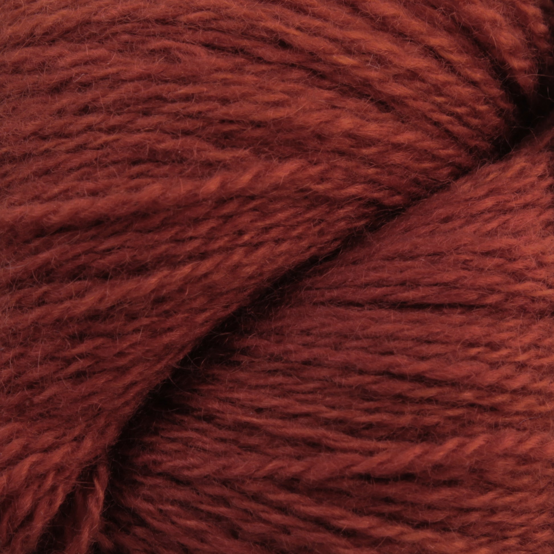 Close-up image of a bundle of Jade Sapphire Cashmere 2-Ply yarn in rust-red. The texture appears soft and slightly fuzzy, with the strands twisting together to form a dense and cozy appearance, perfect for woven accessories. Brought to you by Jade Sapphire Exotic Fibres.