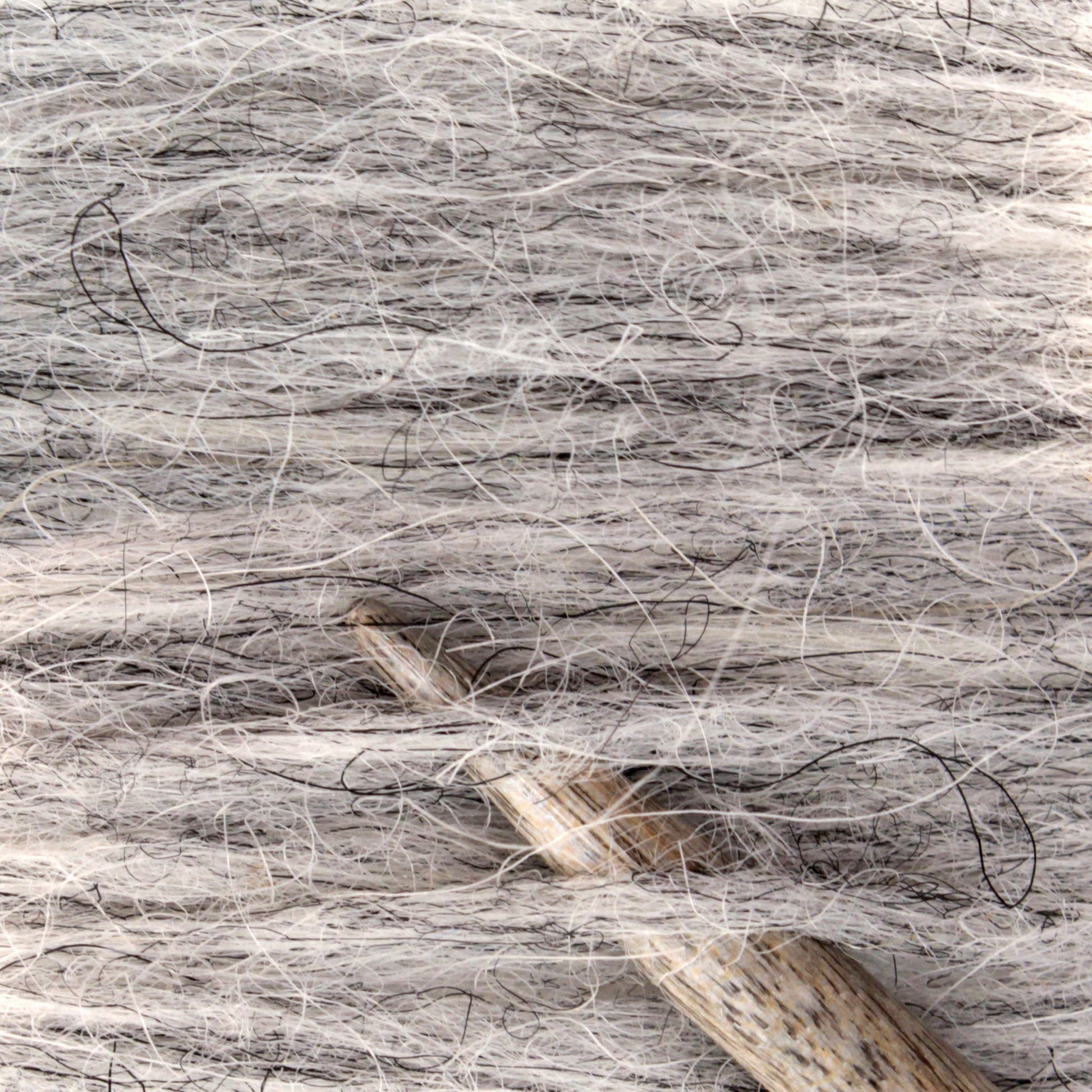 A close-up shot showcases the gray and white Plötulopi Unspun Icelandic Wool Yarn by Berroco, Inc., intertwined with strands of black and faint tan fibers. A wooden knitting needle, partially visible and inserted within the soft Plötulopi yarn, hints at an ongoing knitting project utilizing traditional Icelandic wool techniques.