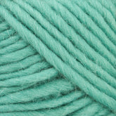 Close-up image of thick, soft Lamb's Pride Bulky Yarn by Brown Sheep in a solid light teal color, showcasing its texture and twisted strands. The yarn appears fluffy and neatly wound, filling the entire frame—a perfect pick for knitters and crocheters dreaming of cozy woven blankets or Icelandic sweaters.