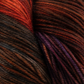 Close-up of Malabrigo Yarn's Malabrigo Sock in shades of red, brown, and purple. The texture is clearly visible, showcasing its soft, woolly appearance. Kettle dyed multicolors blend seamlessly, creating a rich and warm palette. Bonus: it's machine washable!