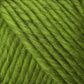 Close-up image of soft, twisted green Lamb's Pride Worsted Yarn by Brown Sheep with visible fibers. The yarn strands are tightly wound and create a diagonal pattern across the frame. The texture appears plush and perfect for knitting or felting projects.