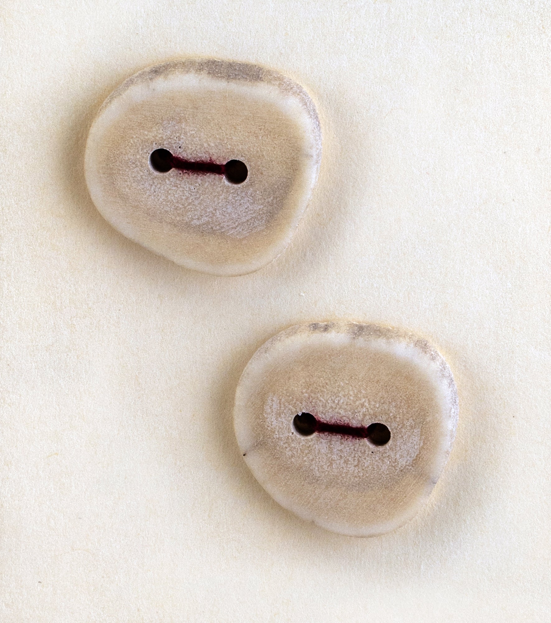 Two handcrafted Buttons - Antler from Favour Valley Woodworking lie on a beige background. The buttons are irregularly round and crafted from antler, with a smooth yet slightly rough texture and light beige color. Each button features two holes threaded with thin, dark string.