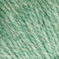 Close-up of Bartlettyarns Maine Wool Yarn in light green, with a slightly fuzzy texture. The individual threads are tightly woven, showcasing the intricate fibrous structure characteristic of Bartlettyarns. The surface appears soft and slightly textured, indicative of a natural worsted weight yarn.