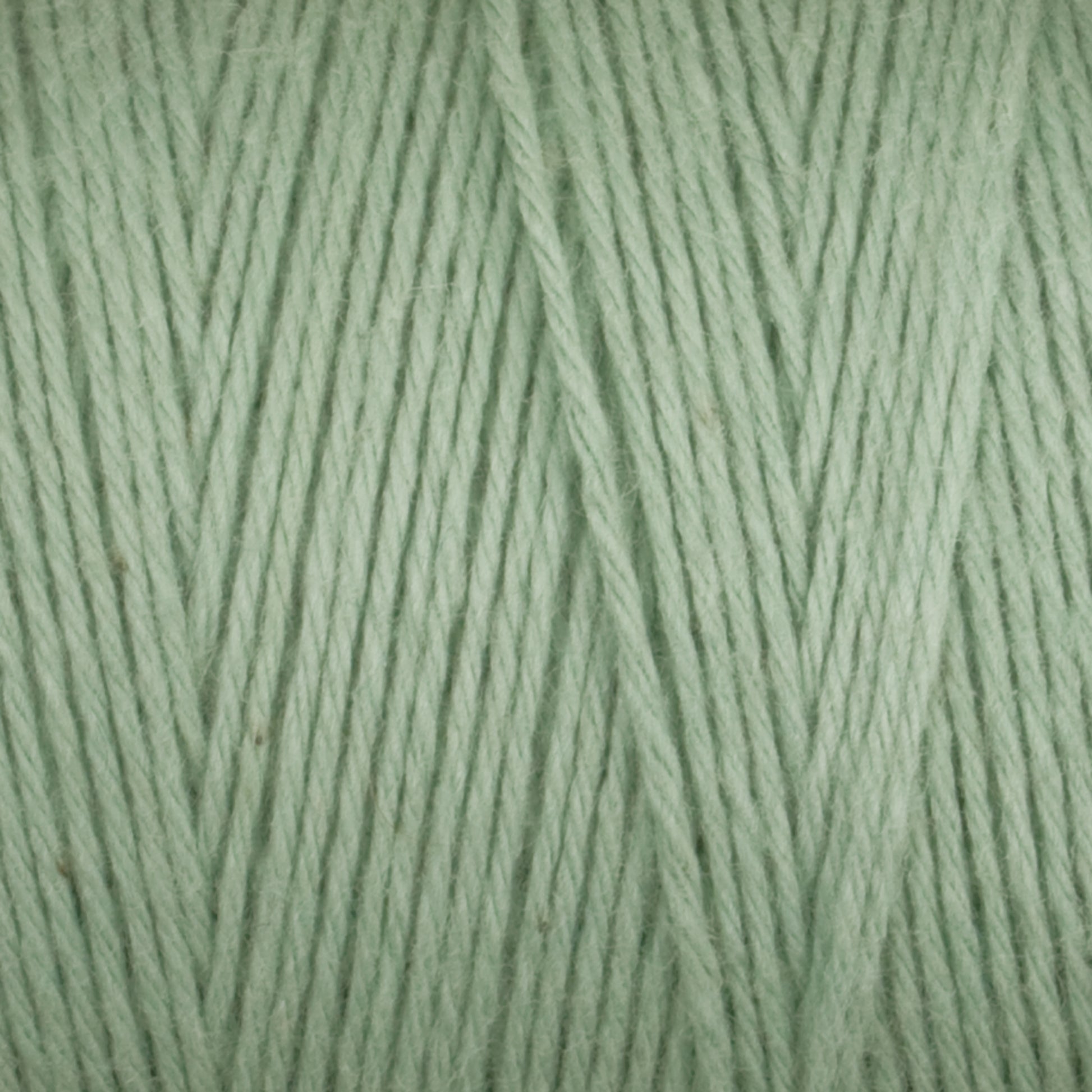 Close-up of pastel green yarn, showcasing its soft and wooly texture. The unmercerized cotton strands of the Maurice Brassard Cotton 8/8 Carpet Warp are neatly wound together, making it perfect for knitting and crochet projects. The strands form a consistent and even pattern across the image.