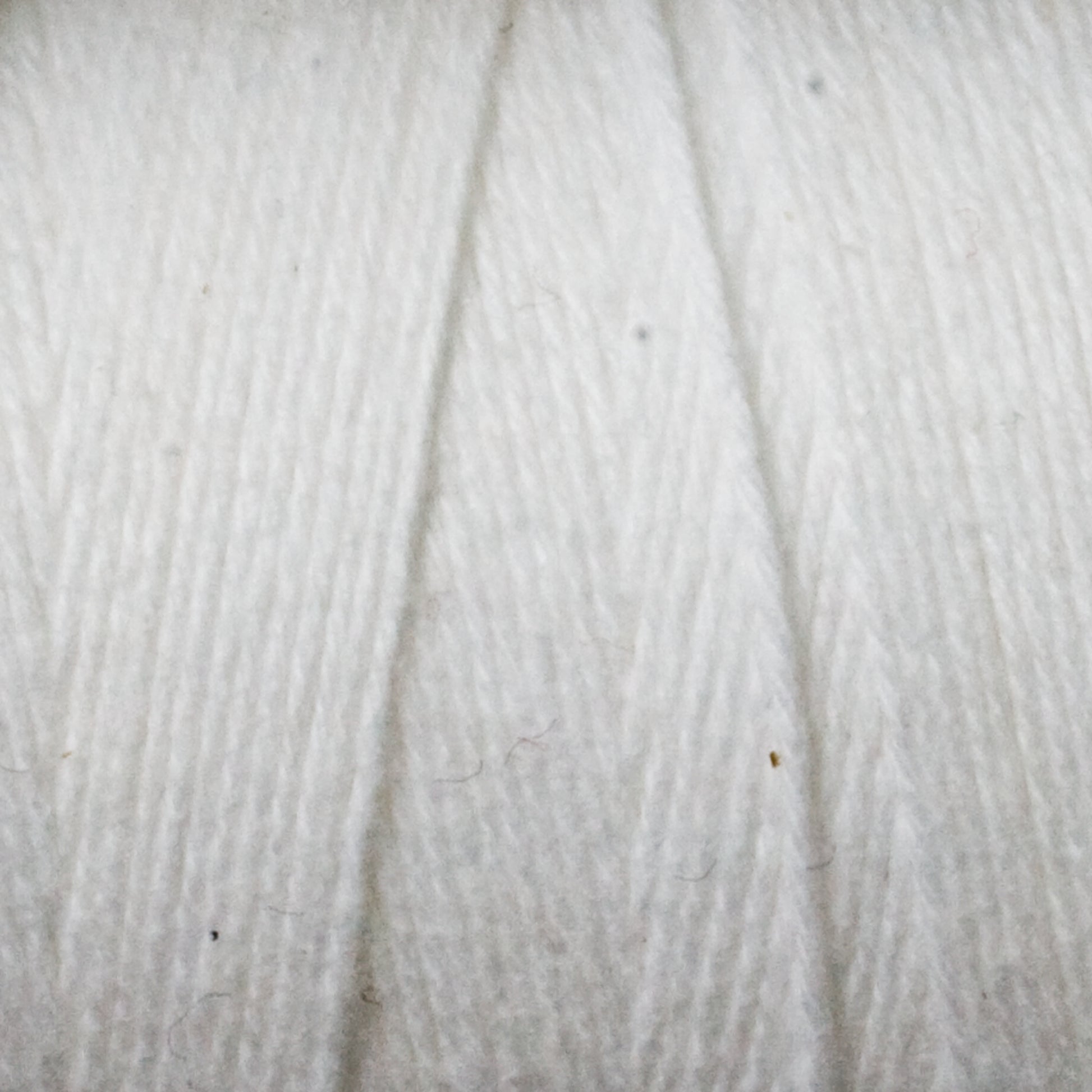 Close-up image of Maurice Brassard's Cotton 8/8 Carpet Warp. The texture is clearly visible, showcasing the soft fibers twisted together. Made of unmercerized cotton, the yarn exhibits a slightly fuzzy appearance with small individual strands intertwining to form a thick, cohesive thread perfect for knitting and crochet projects.