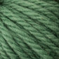 Close-up view of Caledonian Dye Works Halcyon Yarn Classic Rug Wool | Skein in green, showcasing its soft and fluffy texture with strands twisted together, perfect for weavers seeking premium hand-dye materials.