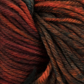 Close-up of a skein of Malabrigo Rios yarn by Malabrigo Yarn, showcasing a blend of dark, earthy tones with deep reds, browns, and subtle hints of blue. The texture is thick and slightly twisted, evoking a warm and cozy feel. Its kettle-dyed colors amplify its rich vibrancy.